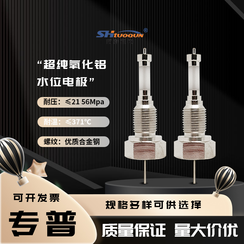 超纯氧化铝水位电极锅炉电极压入DJM1615-87304不锈钢液位电极