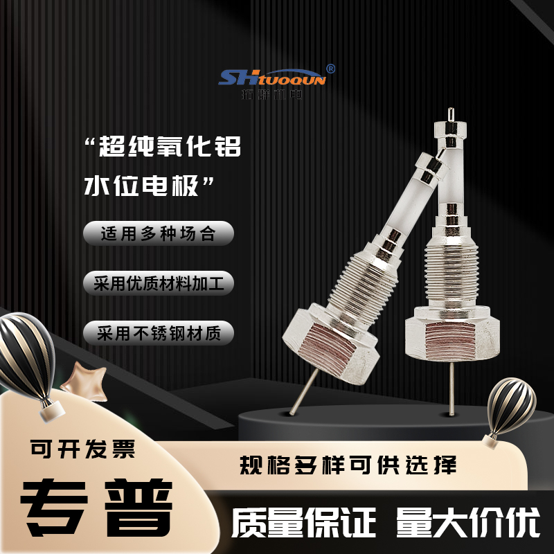 超纯氧化铝水位电极锅炉电极压入DJM1615-87304不锈钢液位电极