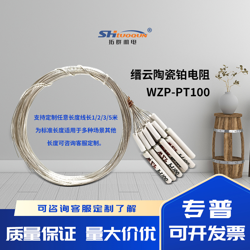 拓群高精度A级PT100温度传感器 铂电阻 缙云热电阻陶瓷电阻芯